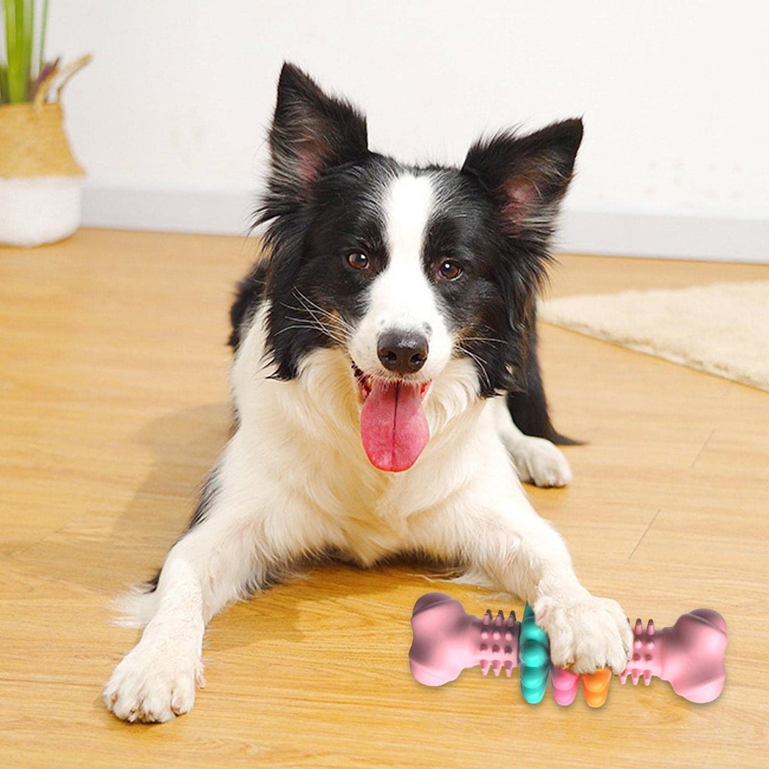 Dog Chew Toy Dog Bone Type  Dogs Teeth Cleaning Toys Indestructible TPR Bone Chewing Bite Resistant Teething Toys  Pet Products-0-Rambla Store