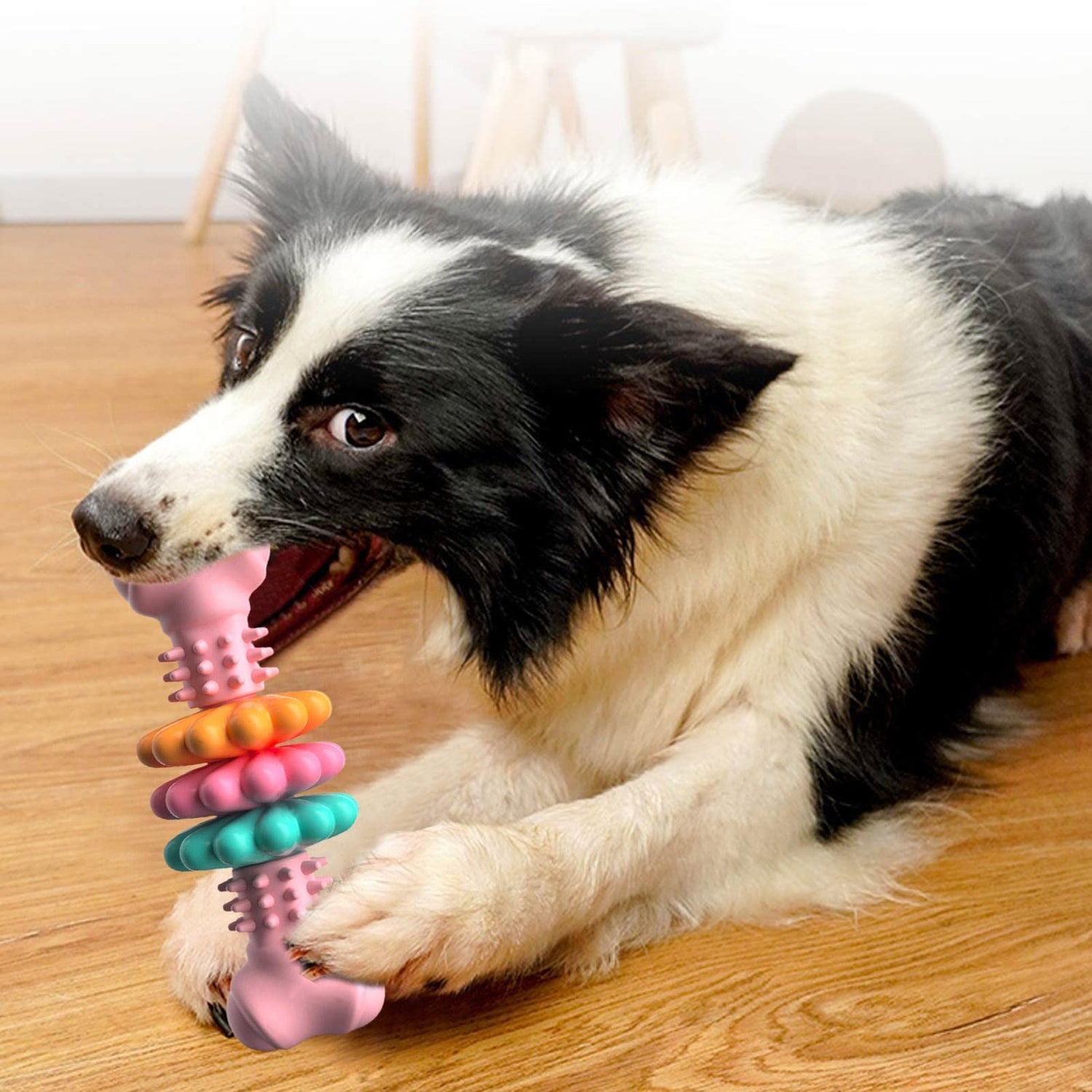 Dog Chew Toy Dog Bone Type Dogs Teeth Cleaning Toys Indestructible TPR Bone Chewing Bite Resistant Teething Toys Pet Products-0-Rambla Store
