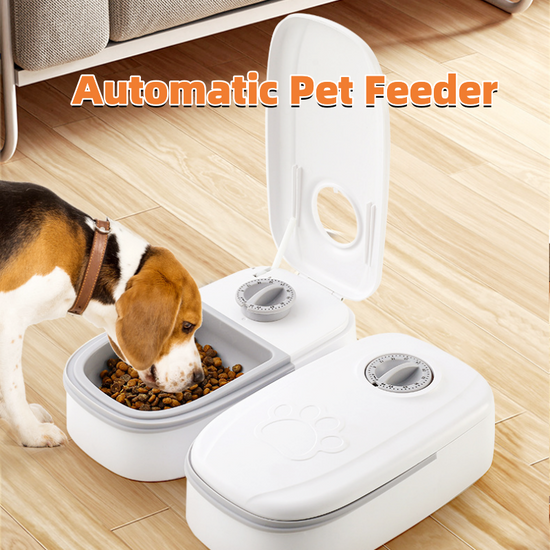 Automatic Pet Feeder Smart Food Dispenser For Cats Dogs Timer Stainless Steel Bowl Auto Dog Cat Pet Feeding Pets Supplies-0-Rambla Store