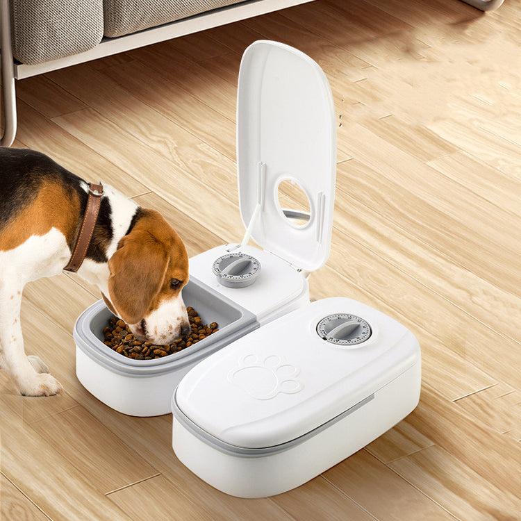 Automatic Pet Feeder Smart Food Dispenser For Cats Dogs Timer Stainless Steel Bowl Auto Dog Cat Pet Feeding Pets Supplies-0-Rambla Store