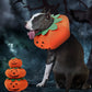 Halloween Pumpkin Collar