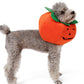 Halloween Pumpkin Collar