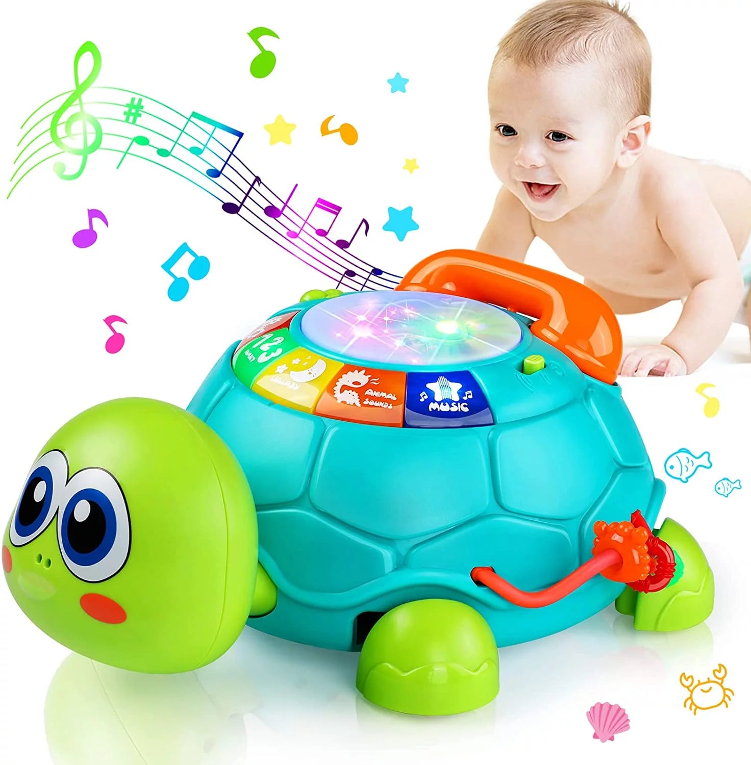 Baby Toys 12-18 Months, Light up Baby Toys 6 to 12 Months Musical Turtle with Letters Numbers Phone Infant Baby Toys for 6 9 12 18 Months Educational Learning Toys--Rambla Store