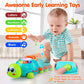 Baby Toys 12-18 Months, Light up Baby Toys 6 to 12 Months Musical Turtle with Letters Numbers Phone Infant Baby Toys for 6 9 12 18 Months Educational Learning Toys--Rambla Store