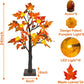 2 Pack 24 Inch Prelit Fall Lighted Maple Tree Thanksgiving Halloween Decorations with 48 Leds Timer 3D Pumpkin Lights 12 Acorns Battery Operated Tabletop Fall Tree Thanksgiving Decor